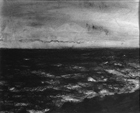Kohala Coast