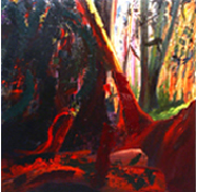 Sunlight in the Forest